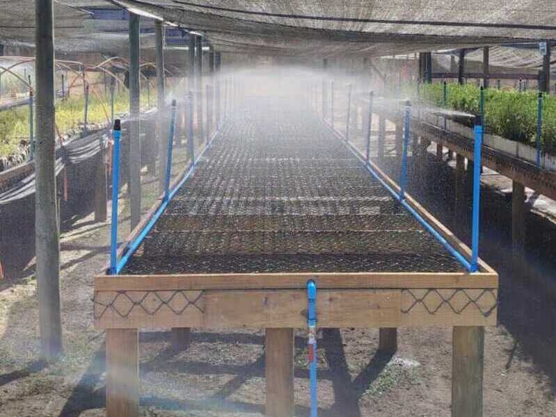 Sistema de Riego Tecnificado en un Área de Reforestación en la Región de Coquimbo, Chile