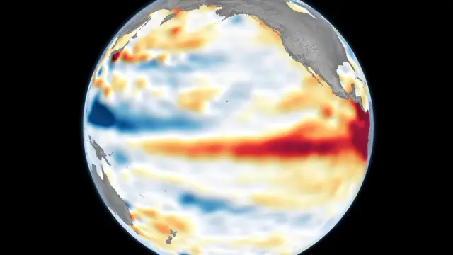 El Niño, las plantas y el riego: por qué la eficiencia hídrica cobra importancia