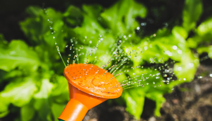 Webinar: Soluciones avanzadas de separación y limpieza de agua en agricultura