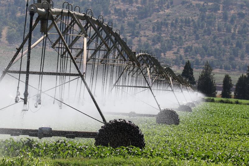 15 de junio: Día Nacional de la Agricultura de Regadío y del Futuro Sostenible de la Agricultura