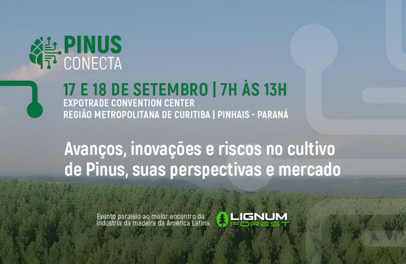 Pinus Conecta 2024: Encuentro de expertos e innovaciones en el cultivo del pino en Brasil