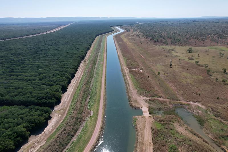  El proyecto Jaíba, de Agrolink