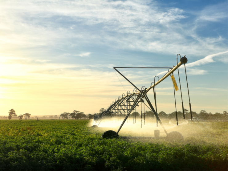 MTR SOLAR ofrece soluciones innovadoras de autonomía energética para el sector agrícola