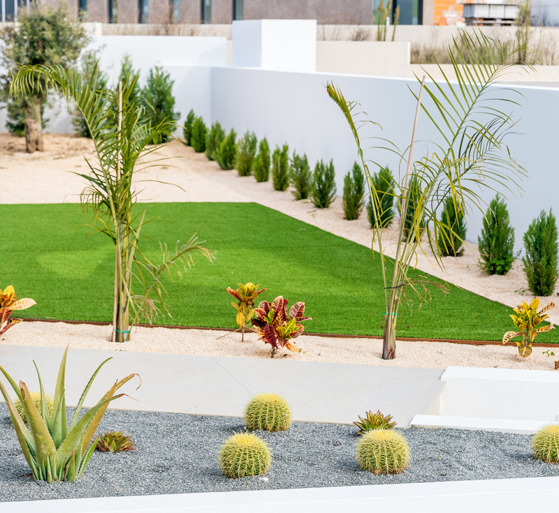 Proyecto realizado por Vitor Pina