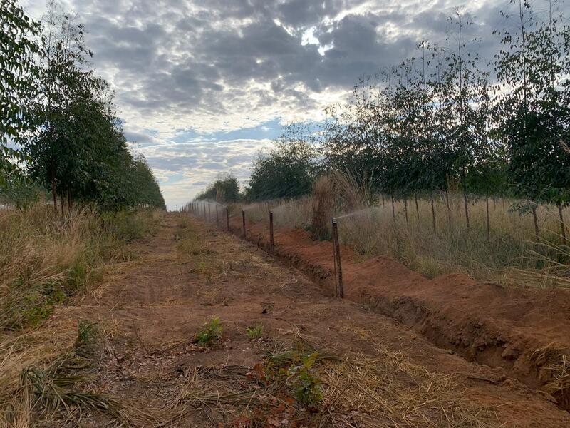 Proyecto realizado por GlobalPEC