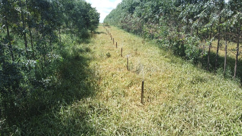 Proyecto realizado por GlobalPEC