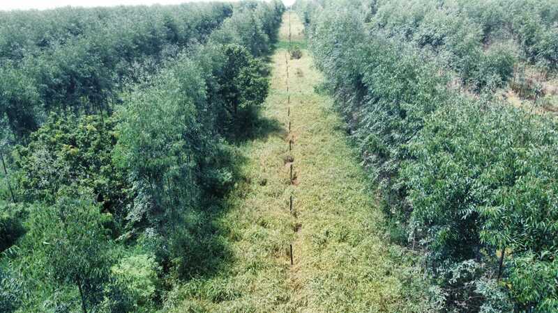 Proyecto realizado por GlobalPEC