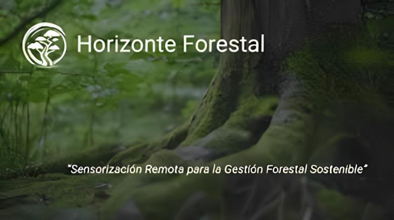 Gestión sostenible y progreso en el sector forestal