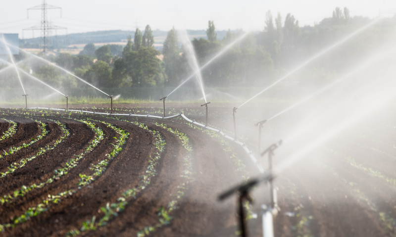Energía solar en la agricultura