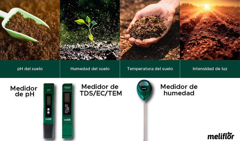 Noticias de Meliflor