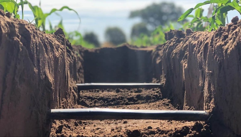 El riego por goteo subterráneo revoluciona la producción de café y caña de azúcar en el norte de ES