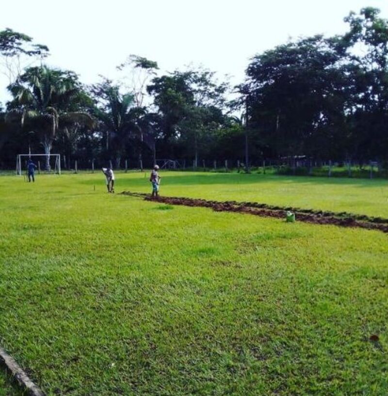 Riego del campo de la sociedad y del jardín automatizado