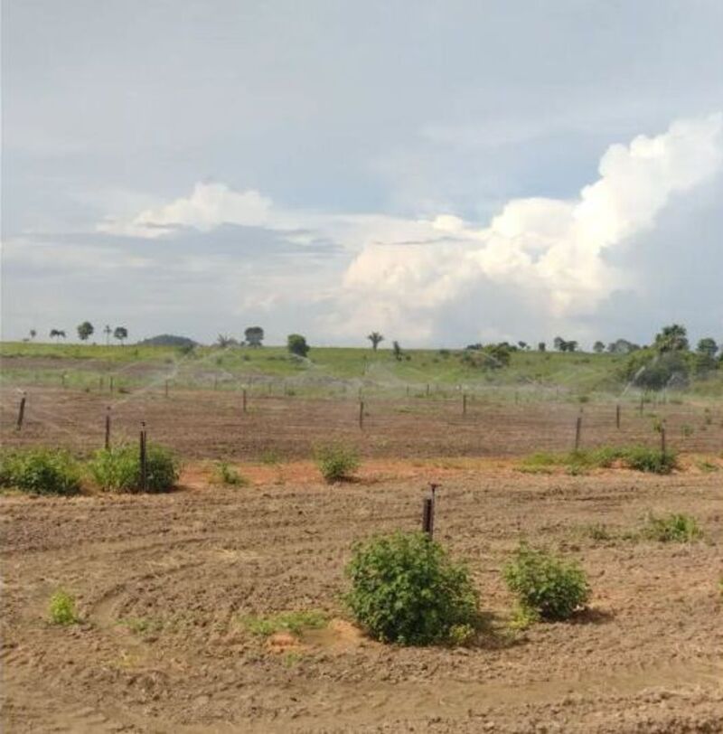 Ampliación del sistema de riego de pastos