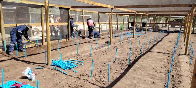 Proyecto realizado por Carlos Alberto