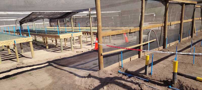 Proyecto realizado por Carlos Alberto