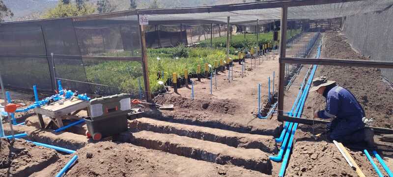 Proyecto realizado por Carlos Alberto