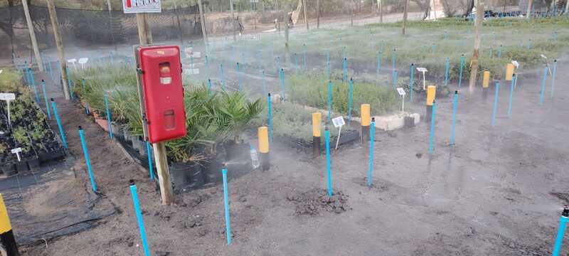 Proyecto realizado por Carlos Alberto