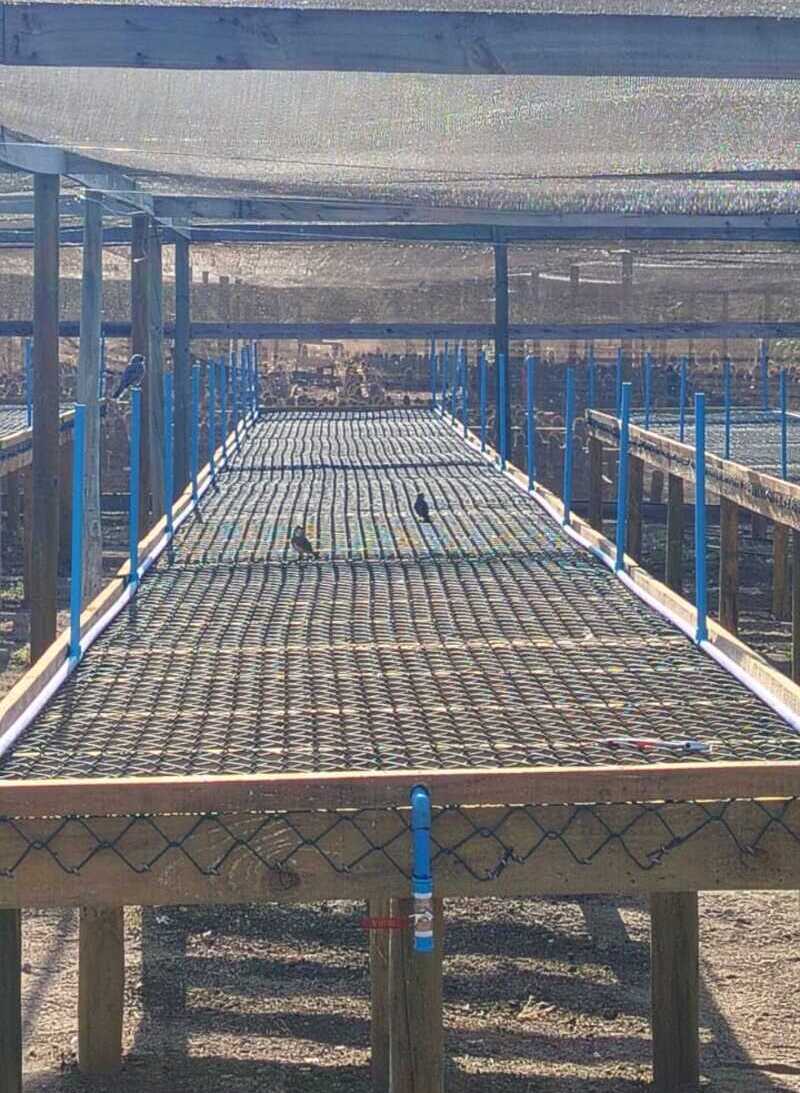 Proyecto realizado por Carlos Alberto