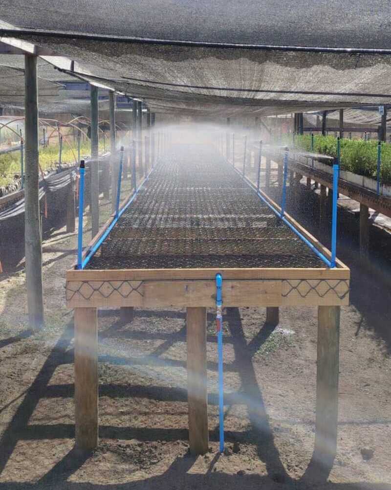 Proyecto realizado por Carlos Alberto