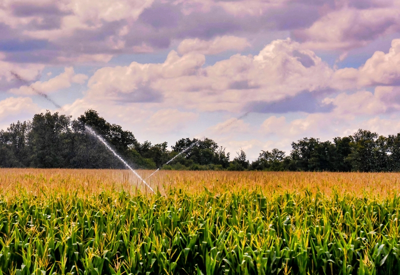 Innovaciones que están transformando el campo e impulsan la producción sostenible