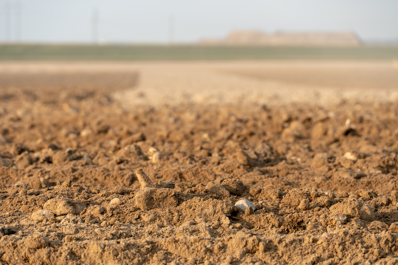 Cómo evitar la compactación del suelo en el campo agrícola