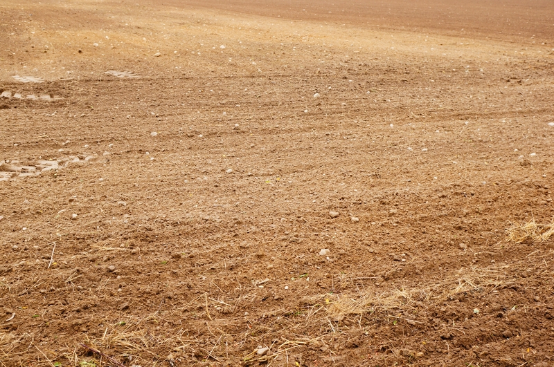 Cómo evitar la compactación del suelo Cómo evitar la compactación del suelo