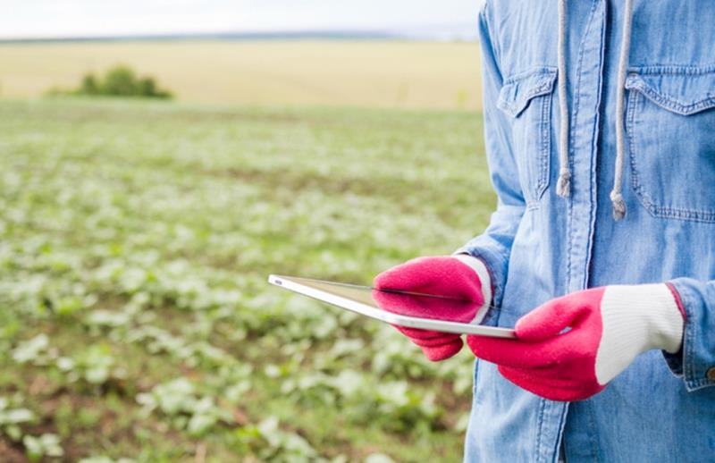 Tecnología Wi-Fi en el riego: ¿innovación con conectividad o dependencia digital?