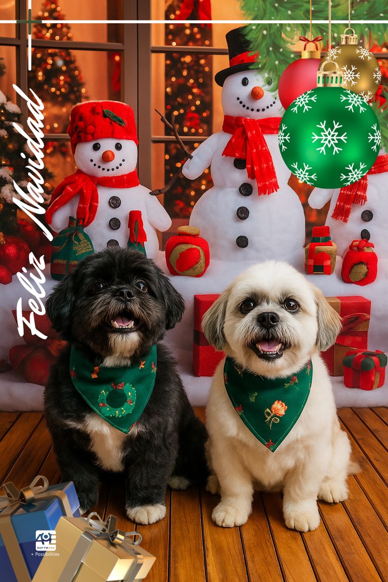 Esta Navidad, la confianza de nuestros clientes es nuestro mayor regalo.