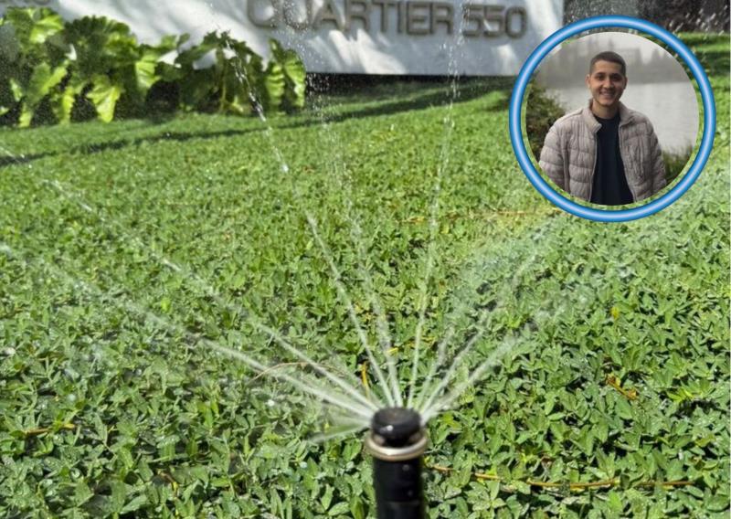 Imagen proporcionada por el autor del proyecto.