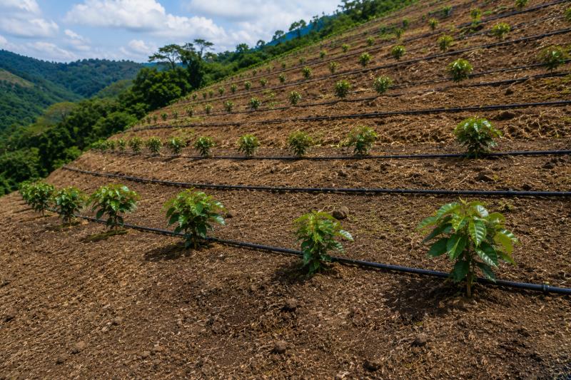 Riego eficiente en terrenos inclinados: desafíos, soluciones y mejores prácticas