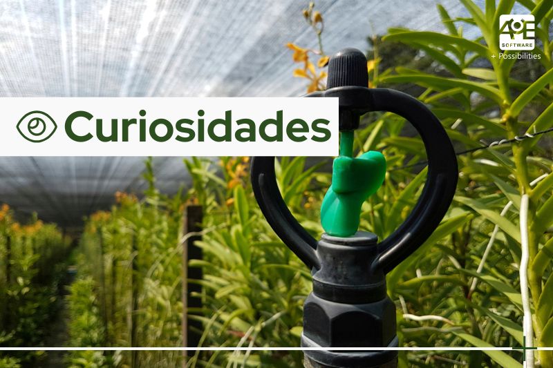 Impacto del cambio climático en la irrigación agrícola